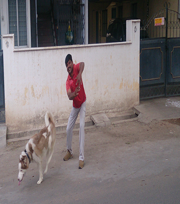 dog